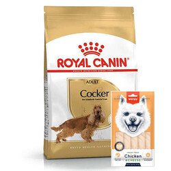 Royal Canin - Royal Canin Cocker Irkına Özel Köpek Maması 3 Kg + Wanpy Creamy Treat 5x14 Gr