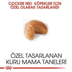 Royal Canin Cocker Irkına Özel Köpek Maması 3 Kg x 2 Adet - Thumbnail