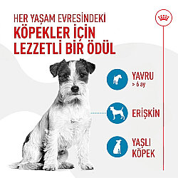 Royal Canin Chews Eğitim Amaçlı Ödül Maması 110 Gr - 2
