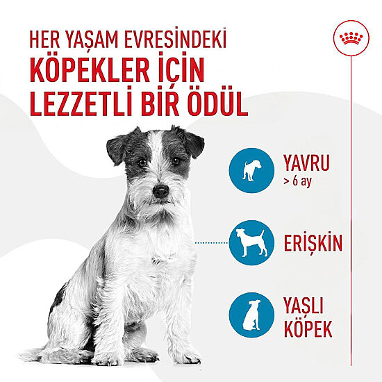 Royal Canin Chews Eğitim Amaçlı Ödül Maması 110 Gr - 2