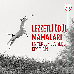 Royal Canin Chews Eğitim Amaçlı Ödül Maması 110 Gr - 4