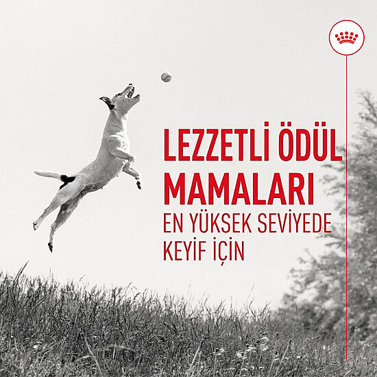 Royal Canin Chews Eğitim Amaçlı Ödül Maması 110 Gr - 4