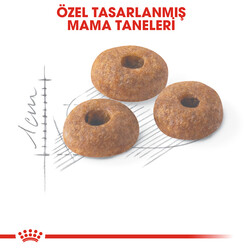 Royal Canin Regular Fit Kedi Maması 10 Kg + 10Lu Lolipop Kedi Ödülü + Temizlik Mendili - Thumbnail