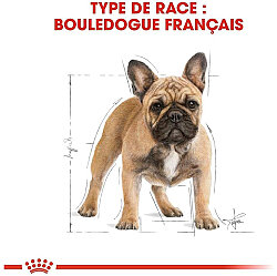 Royal Canin French Bulldog Özel Irk Köpek Maması 3 Kg + Temizlik Mendili - 5