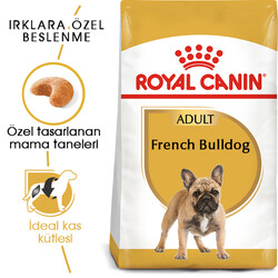 Royal Canin French Bulldog Özel Irk Köpek Maması 3 Kg + Temizlik Mendili - Thumbnail