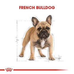 Royal Canin French Bulldog Özel Irk Köpek Maması 3 Kg x 2 Adet + Temizlik Mendili - 7
