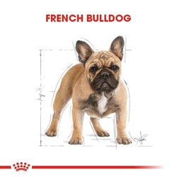 Royal Canin French Bulldog Özel Irk Köpek Maması 3 Kg x 2 Adet - Thumbnail