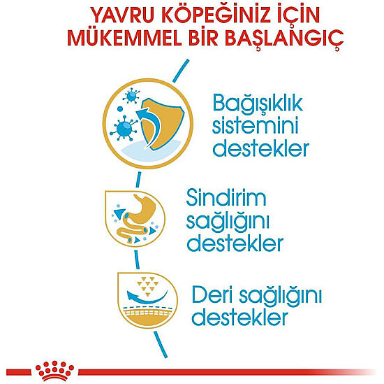 Royal Canin French Bulldog Puppy Yavru Köpek Maması 3 Kg x 2 Adet + Temizlik Mendili - 4
