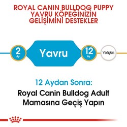 Royal Canin French Bulldog Puppy Yavru Köpek Maması 3 Kg x 2 Adet - Thumbnail