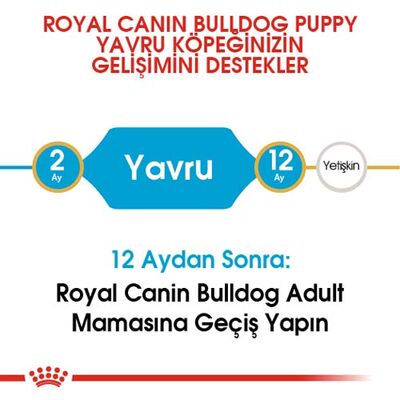 Royal Canin French Bulldog Puppy Yavru Köpek Maması 3 Kg x 2 Adet