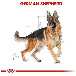 Royal Canin German Shepherd Köpek Maması 11 Kg + Temizlik Mendili - 4