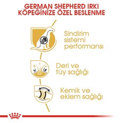 Royal Canin German Shepherd Köpek Maması 11 Kg + Temizlik Mendili - Thumbnail