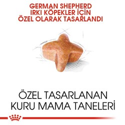 Royal Canin German Shepherd Köpek Maması 11 Kg + Temizlik Mendili - Thumbnail