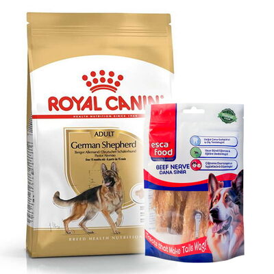 Royal Canin German Shepherd Köpek Maması 11 Kg + Esca Food Köpek Ödülü