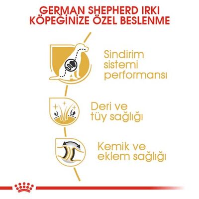Royal Canin German Shepherd Köpek Maması 11 Kg x 2 Adet - 2 Adet Bez Çanta