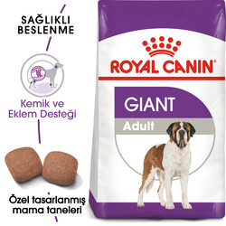 Royal Canin - Royal Canin Giant Adult İri Irk Köpek Maması 15 Kg