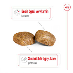 Royal Canin Giant Adult İri Irk Köpek Maması 15 Kg + Wanpy Creamy Treat 5x14 Gr - Thumbnail