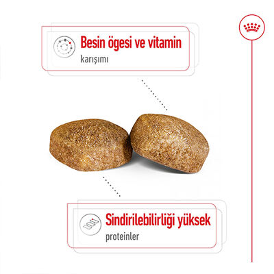 Royal Canin Giant Adult İri Irk Köpek Maması 15 Kg + Wanpy Creamy Treat 5x14 Gr