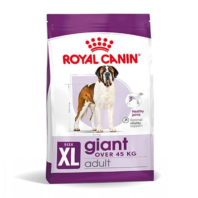 Royal Canin Giant Adult İri Irk Köpek Maması 15 Kg + Wanpy Creamy Treat 5x14 Gr