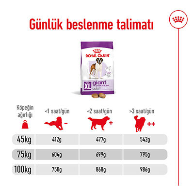 Royal Canin Giant Adult İri Irk Köpek Maması 15 Kg + Wanpy Creamy Treat 5x14 Gr