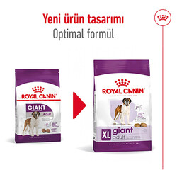Royal Canin Giant Adult İri Irk Köpek Maması 15 Kg + Wanpy Creamy Treat 5x14 Gr - Thumbnail