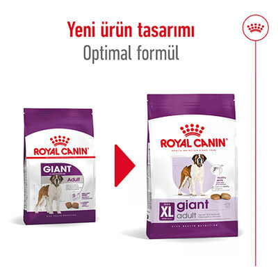 Royal Canin Giant Adult İri Irk Köpek Maması 15 Kg + Wanpy Creamy Treat 5x14 Gr