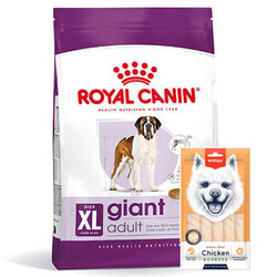 Royal Canin - Royal Canin Giant Adult İri Irk Köpek Maması 15 Kg + Wanpy Creamy Treat 5x14 Gr