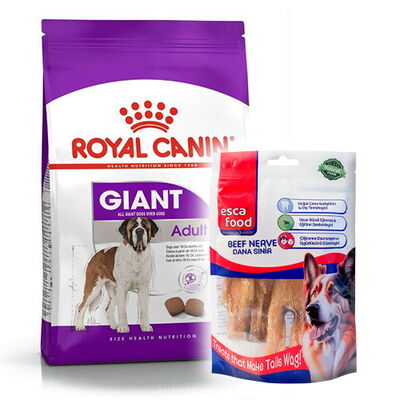 Royal Canin Giant Adult İri Irk Köpek Maması 15 Kg + Esca Food Köpek Ödülü