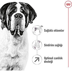 Royal Canin Giant Adult İri Irk Köpek Maması 15 Kg x 2 Adet + Temizlik Mendili - 4