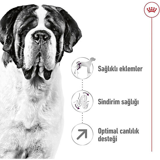 Royal Canin Giant Adult İri Irk Köpek Maması 15 Kg x 2 Adet + Temizlik Mendili - 4