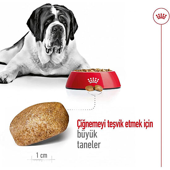Royal Canin Giant Adult İri Irk Köpek Maması 15 Kg x 2 Adet + Temizlik Mendili - 8