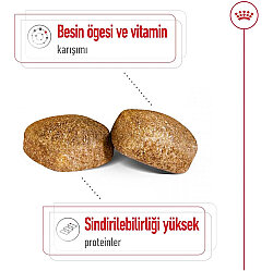 Royal Canin Giant Adult İri Irk Köpek Maması 15 Kg x 2 Adet + Temizlik Mendili - 5