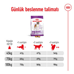 Royal Canin Giant Adult İri Irk Köpek Maması 15 Kg x 2 Adet + Temizlik Mendili - 9
