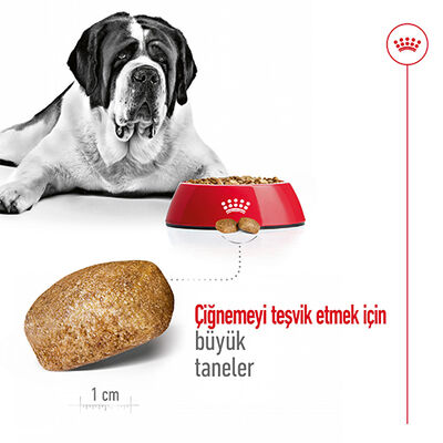 Royal Canin Giant Adult İri Irk Köpek Maması 15 Kg x 2 Adet + Temizlik Mendili - 11