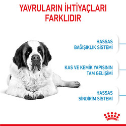 Royal Canin Giant Junior İri Irk Yavru Köpek Maması 15 Kg + Temizlik Mendili - 5