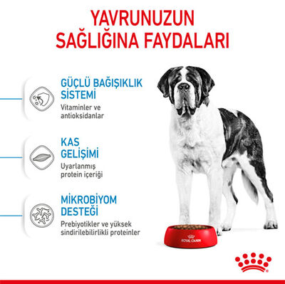 Royal Canin Giant Junior İri Irk Yavru Köpek Maması 15 Kg + Temizlik Mendili - 6