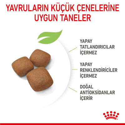 Royal Canin Giant Junior İri Irk Yavru Köpek Maması 15 Kg + Temizlik Mendili