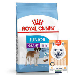 Royal Canin - Royal Canin Giant Junior İri Irk Yavru Köpek Maması 15 Kg + Wanpy Creamy Treat 5x14 Gr