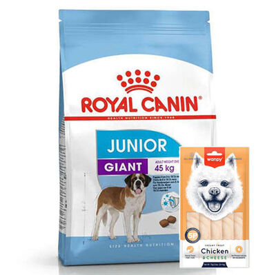 Royal Canin Giant Junior İri Irk Yavru Köpek Maması 15 Kg + Wanpy Creamy Treat 5x14 Gr