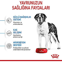 Royal Canin Giant Junior İri Irk Yavru Köpek Maması 15 Kg x 2 Adet + Temizlik Mendili - 3