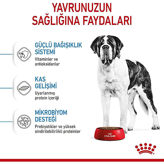 Royal Canin Giant Junior İri Irk Yavru Köpek Maması 15 Kg x 2 Adet + Temizlik Mendili - 3