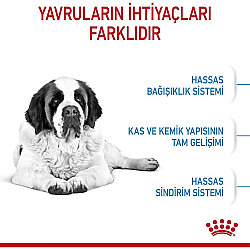 Royal Canin Giant Junior İri Irk Yavru Köpek Maması 15 Kg x 2 Adet + Temizlik Mendili - 5