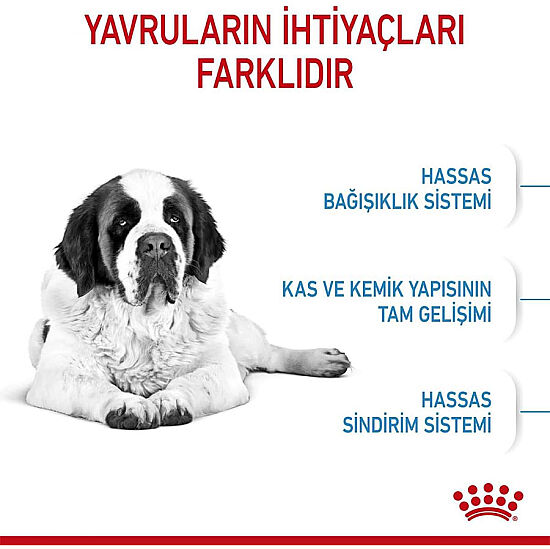 Royal Canin Giant Junior İri Irk Yavru Köpek Maması 15 Kg x 2 Adet + Temizlik Mendili - 5
