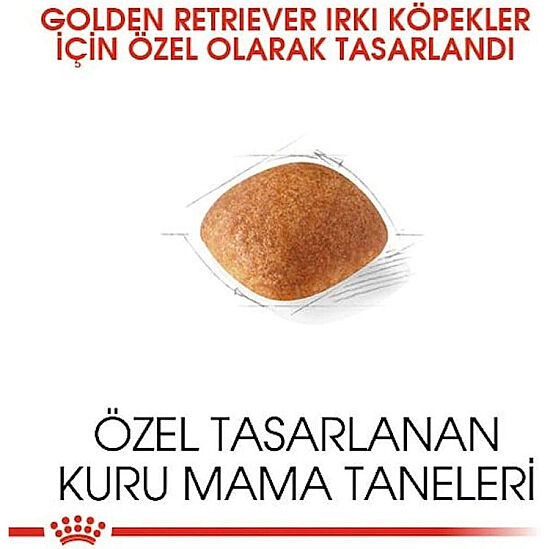 Royal Canin Golden Retriever Köpek Maması 12 Kg + Temizlik Mendili - 4