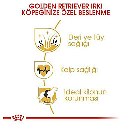 Royal Canin Golden Retriever Köpek Maması 12 Kg + Temizlik Mendili - 3
