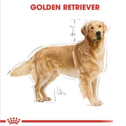 Royal Canin Golden Retriever Köpek Maması 12 Kg + Temizlik Mendili - Thumbnail