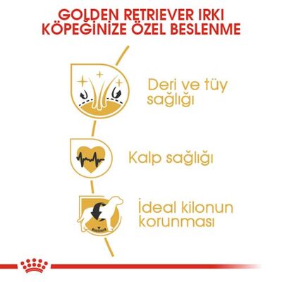 Royal Canin Golden Retriever Köpek Maması 12 Kg + Temizlik Mendili