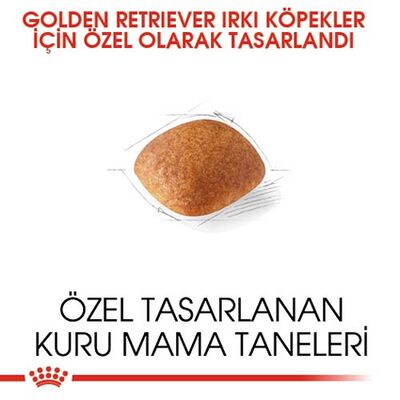 Royal Canin Golden Retriever Köpek Maması 12 Kg + Temizlik Mendili