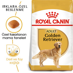 Royal Canin - Royal Canin Golden Retriever Köpek Maması 12 Kg + Temizlik Mendili