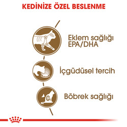 Royal Canin Pouch Gravy Ageing +12 Yaşlı Kedi Yaş Maması 85 Gr - BOX - 12 Al 10 Öde - Thumbnail